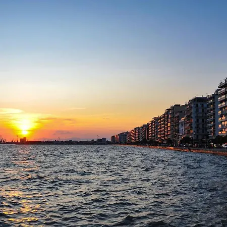 Navarino Lux *
