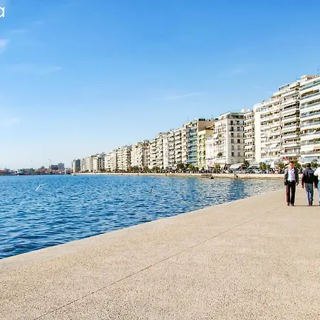 Navarino Lux *